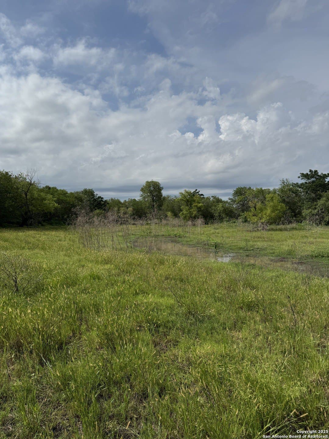 10.67 acres in Atascosa County featured view