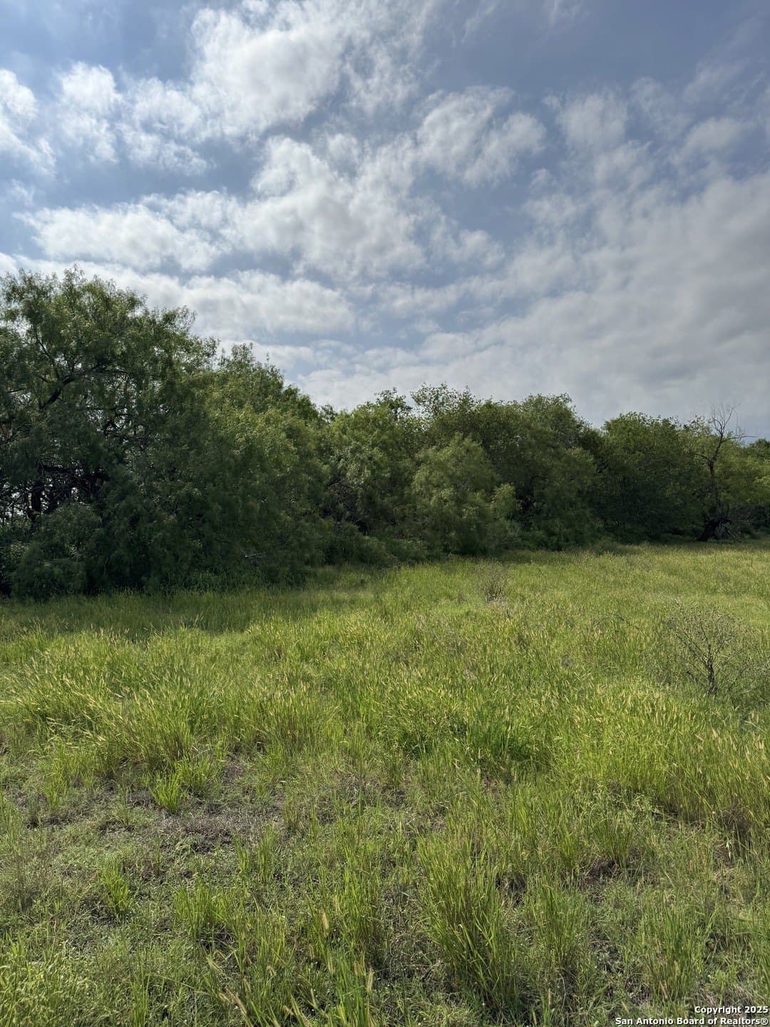 10.67 acres in Atascosa County - photo 6