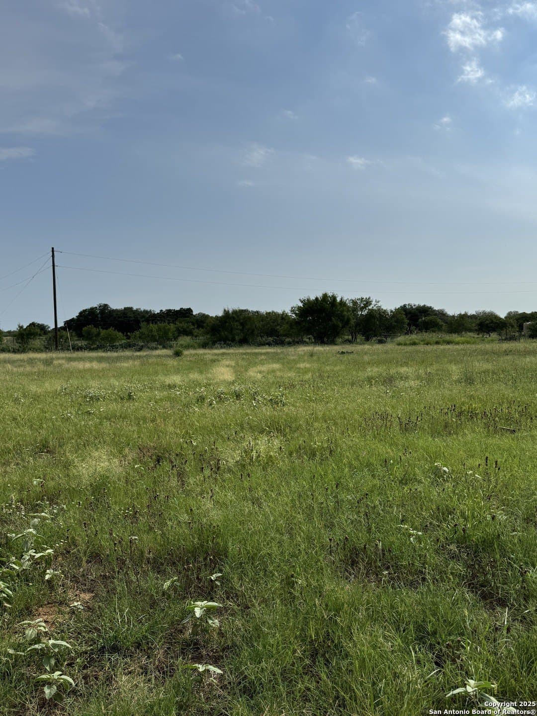 10.67 acres in Atascosa County - photo 8