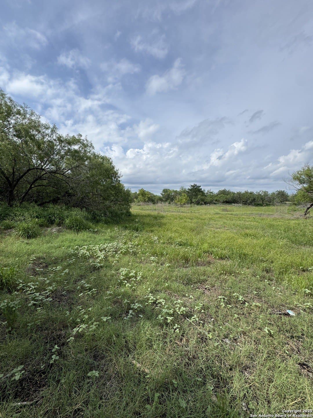 10.67 acres in Atascosa County gallery image 4