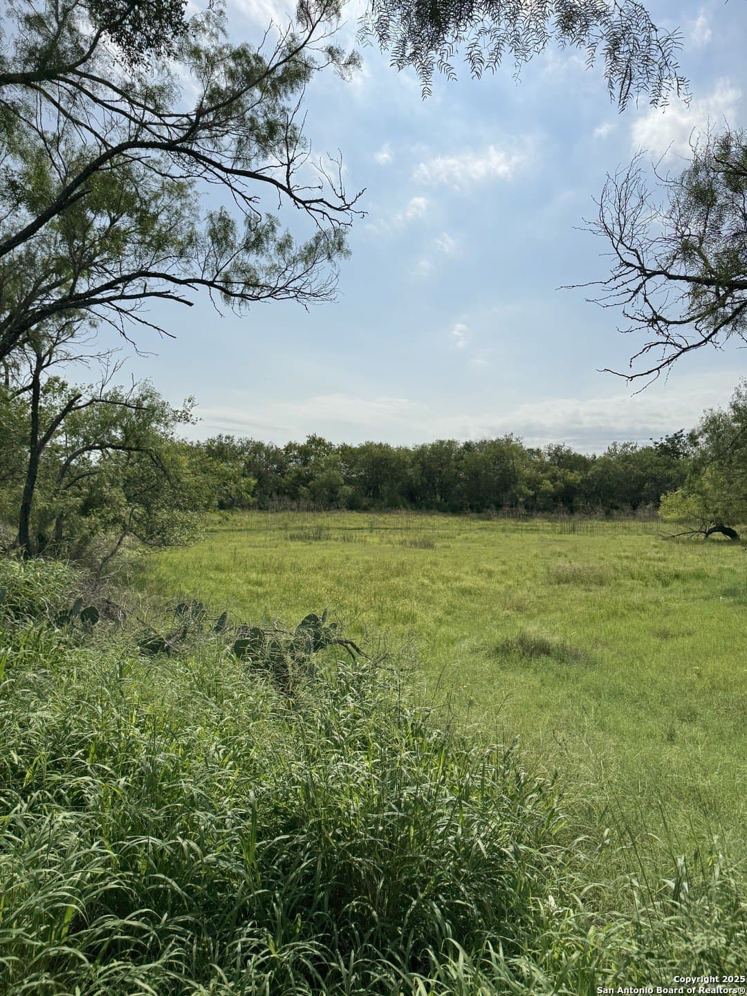 10.67 acres in Atascosa County - photo 7