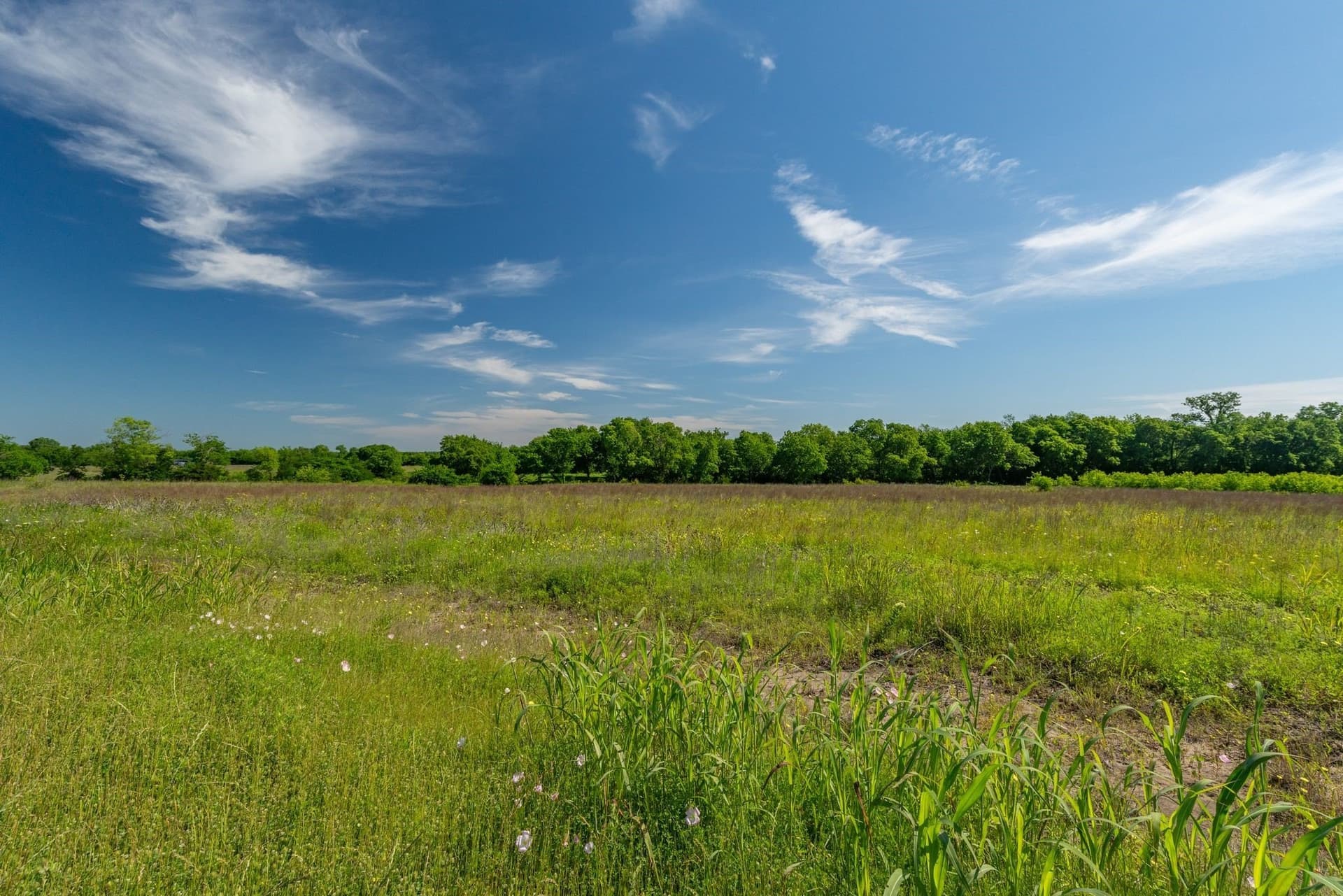 4.2 acres in Delta County - photo 12