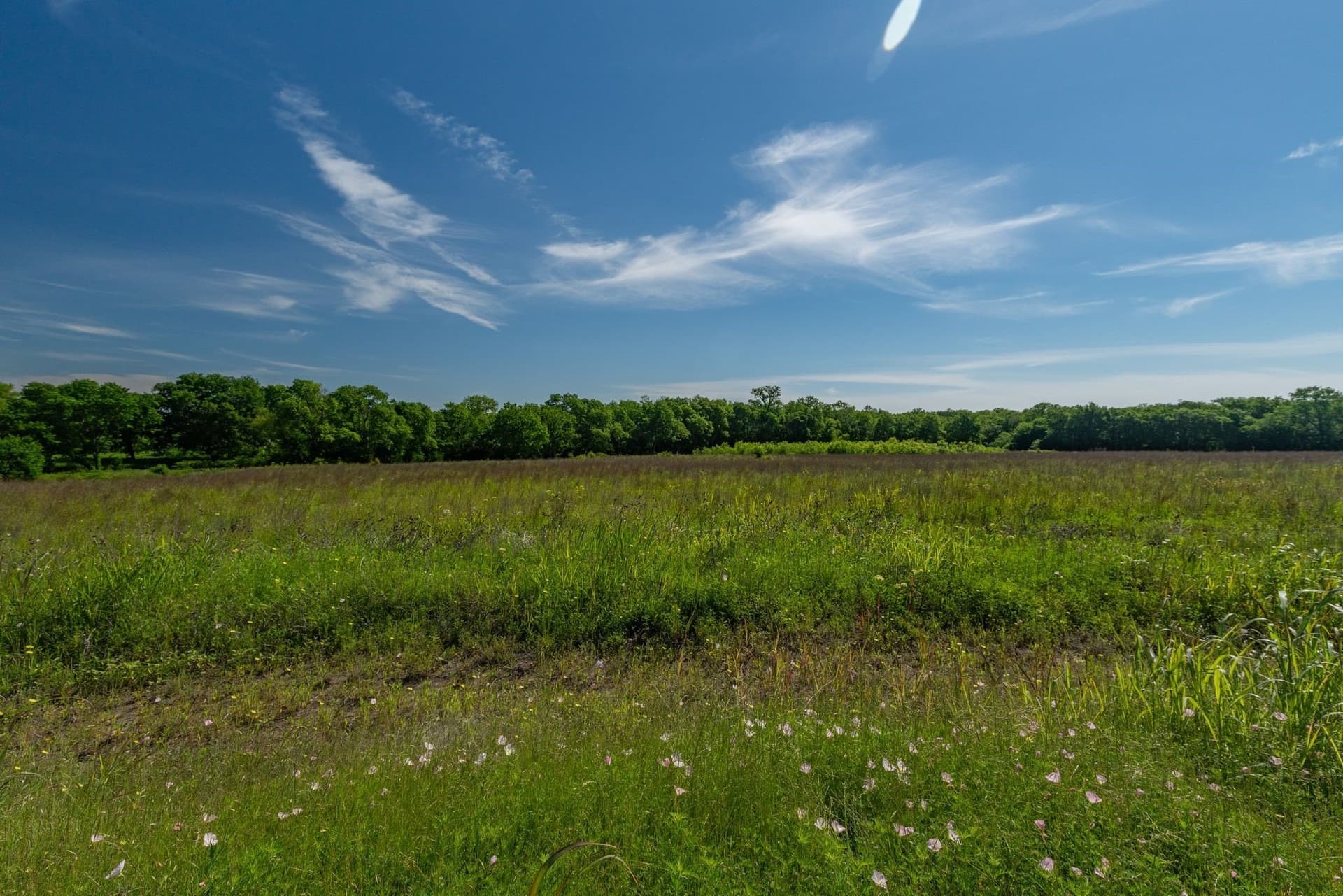 4.2 acres in Delta County - photo 14