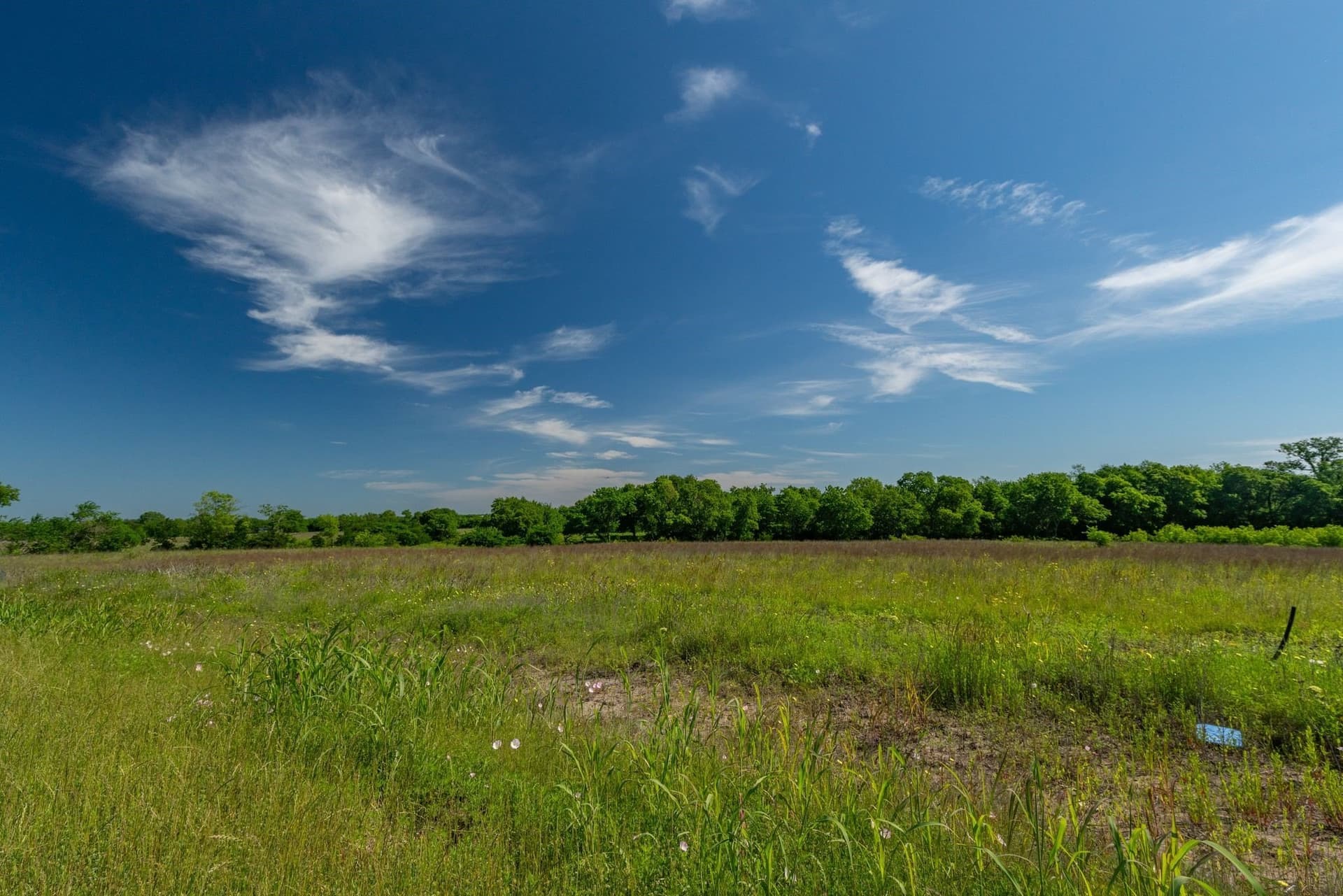4.2 acres in Delta County - photo 15