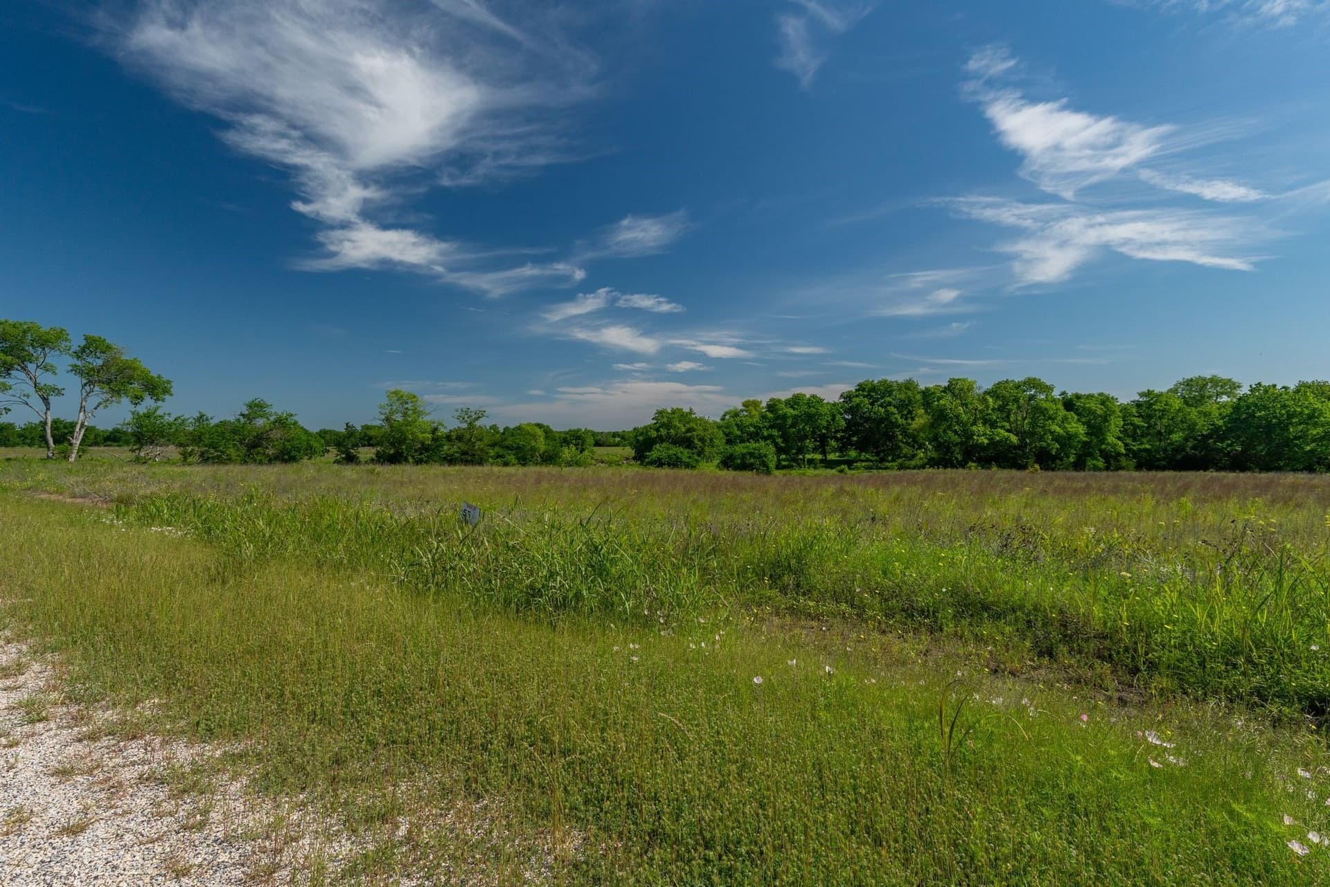 4.2 acres in Delta County - photo 13