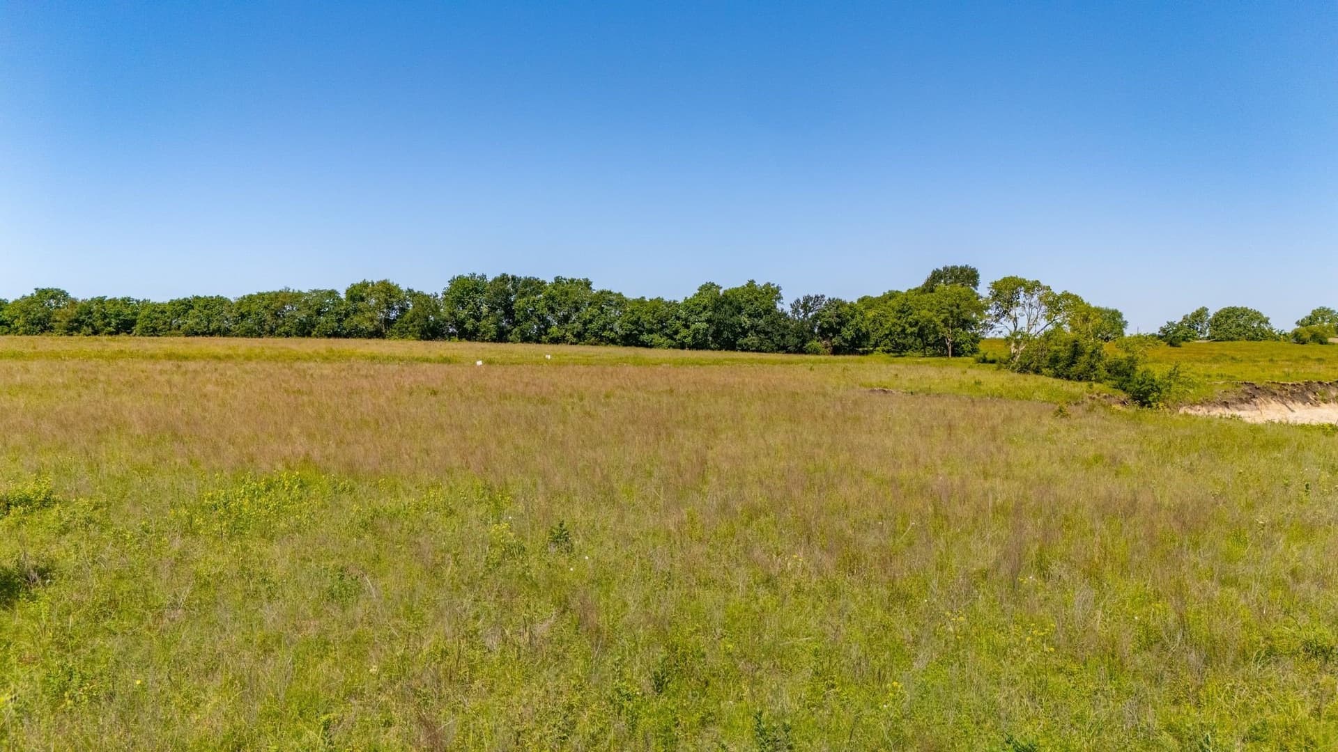 4.2 acres in Delta County - photo 11