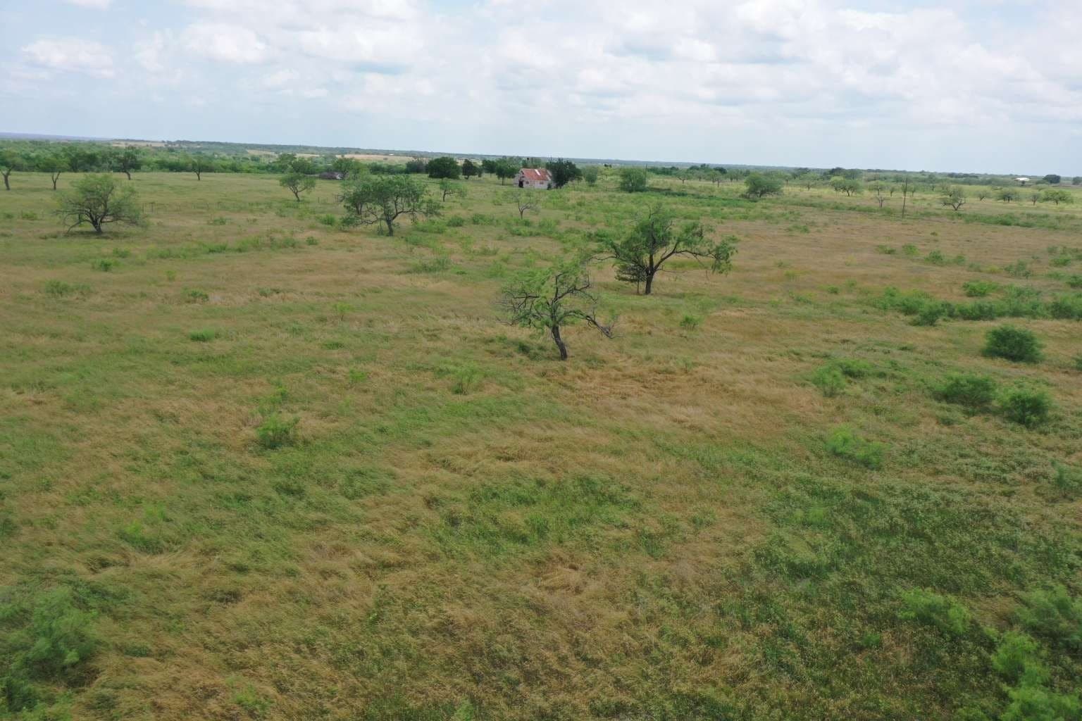2 acres in Navarro County - photo 2