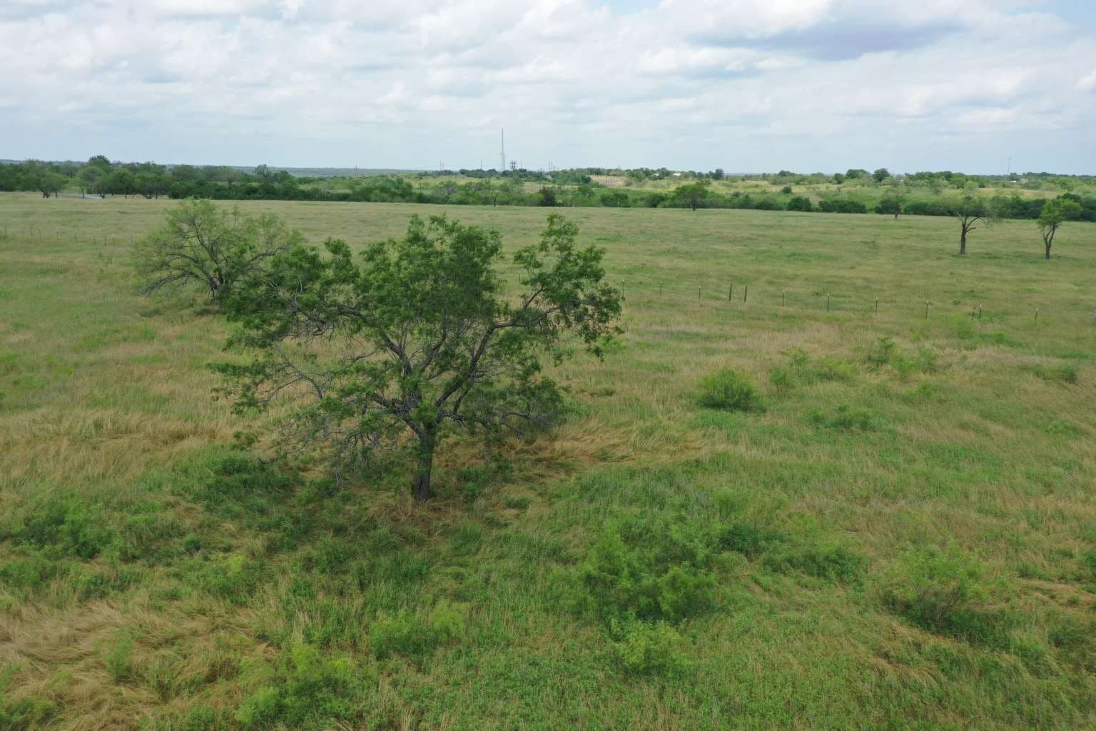 2 acres in Navarro County - photo 5