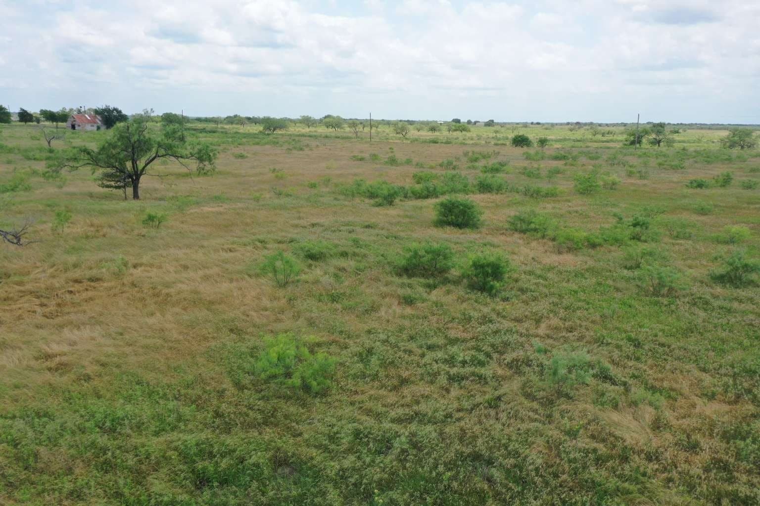 2 acres in Navarro County - photo 4