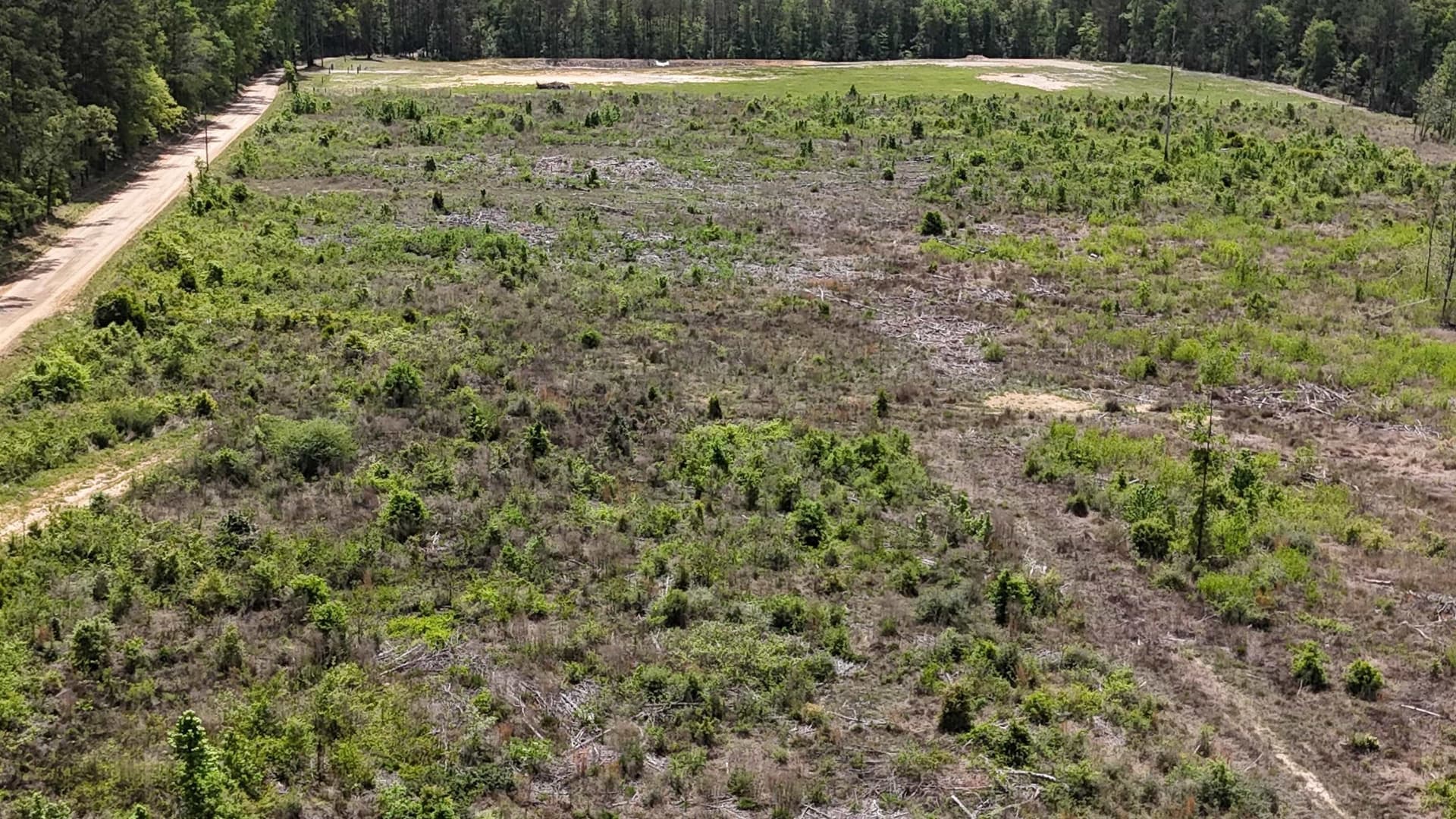 52.85 acres in Tyler County featured view