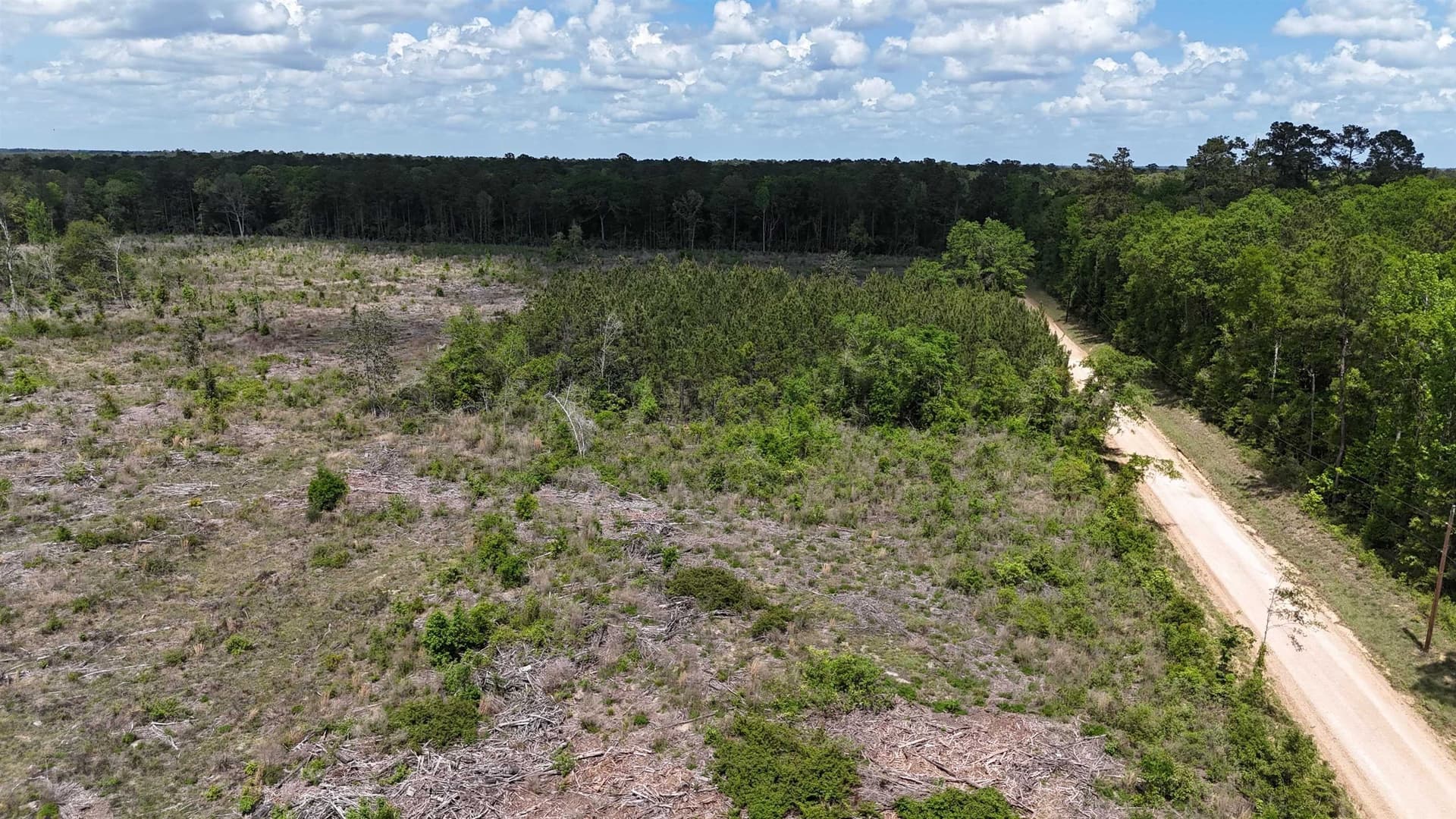 52.85 acres in Tyler County gallery image 2