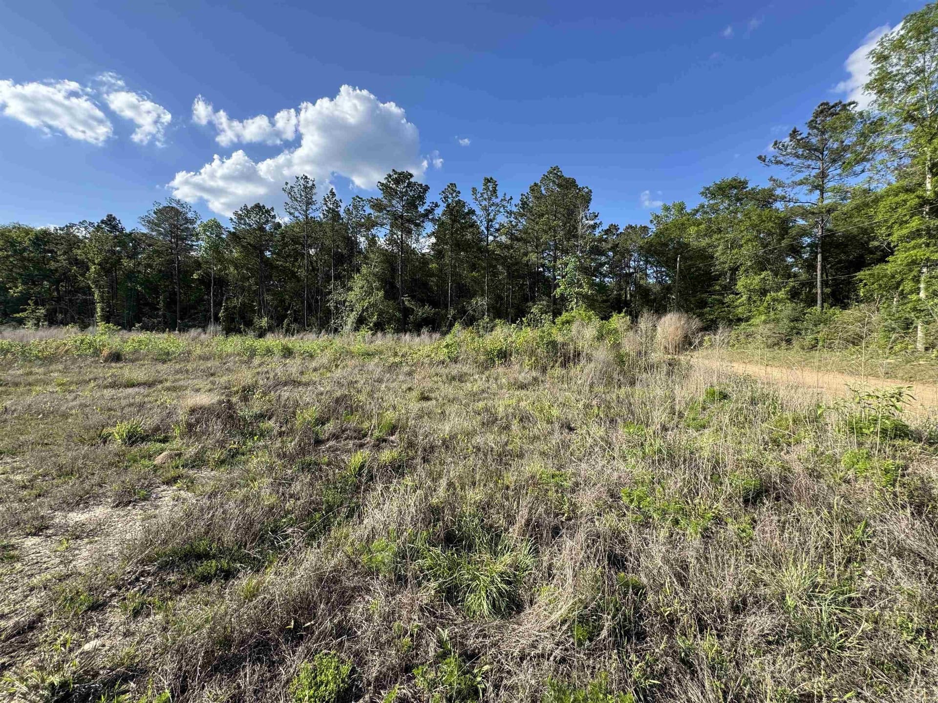 52.85 acres in Tyler County