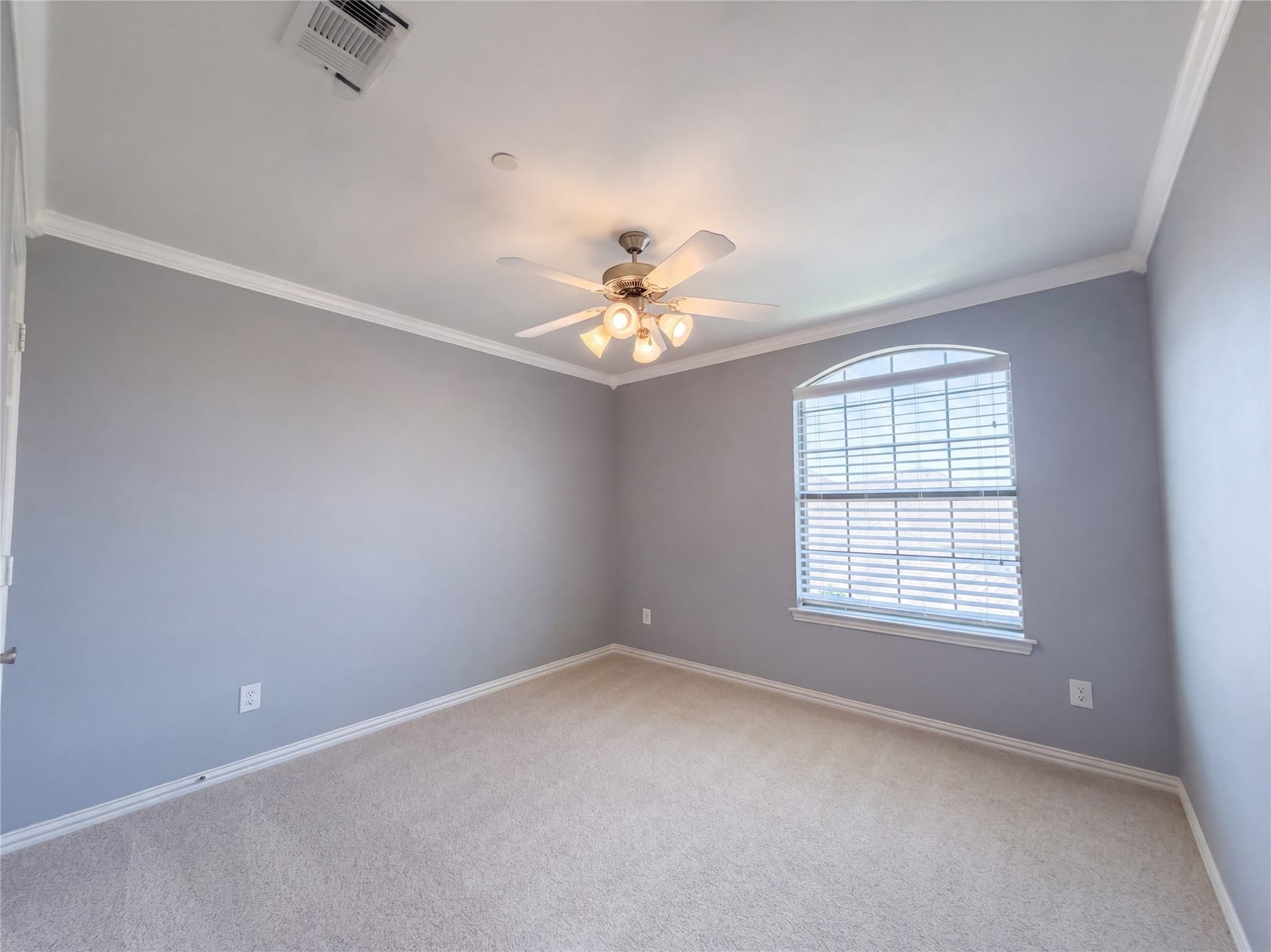 20.3 acres in Collin County - photo 13