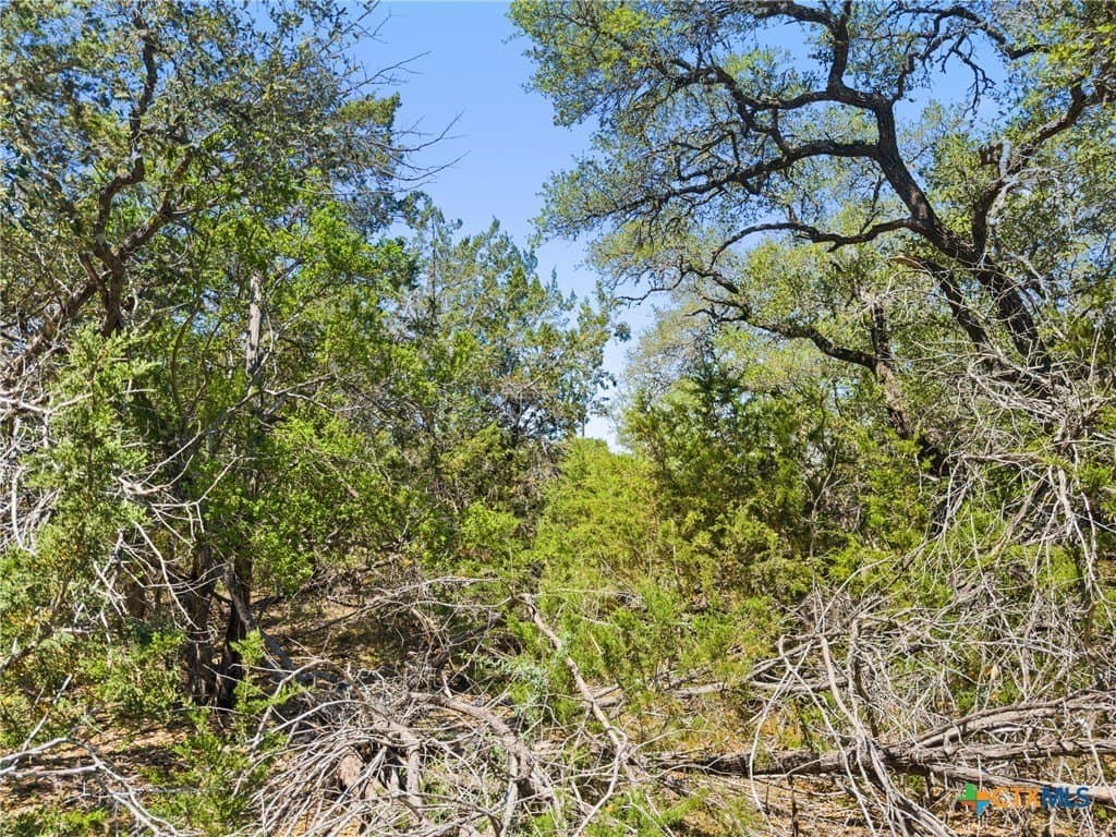 0.51 acres in Comal County - photo 7