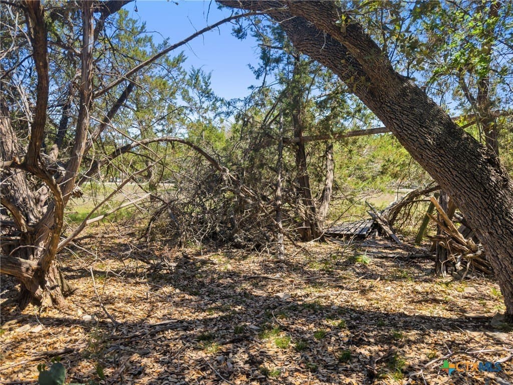 0.51 acres in Comal County - photo 10