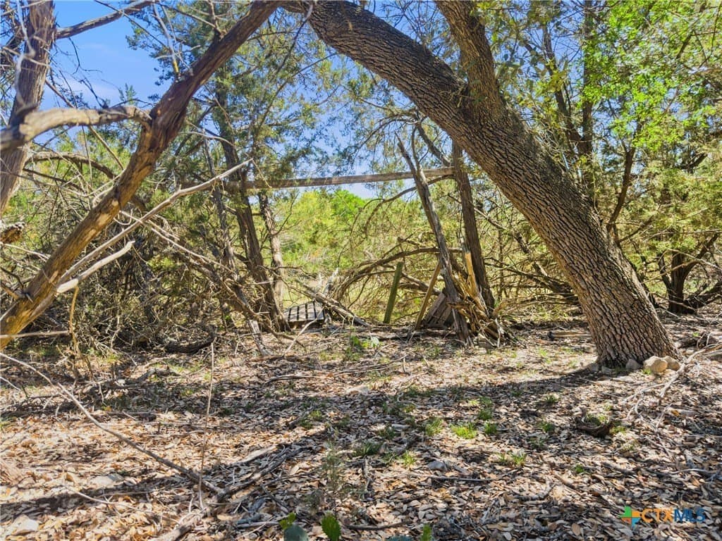 0.51 acres in Comal County - photo 8