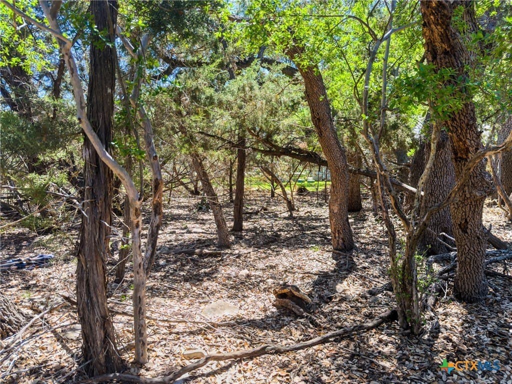 0.51 acres in Comal County - photo 9
