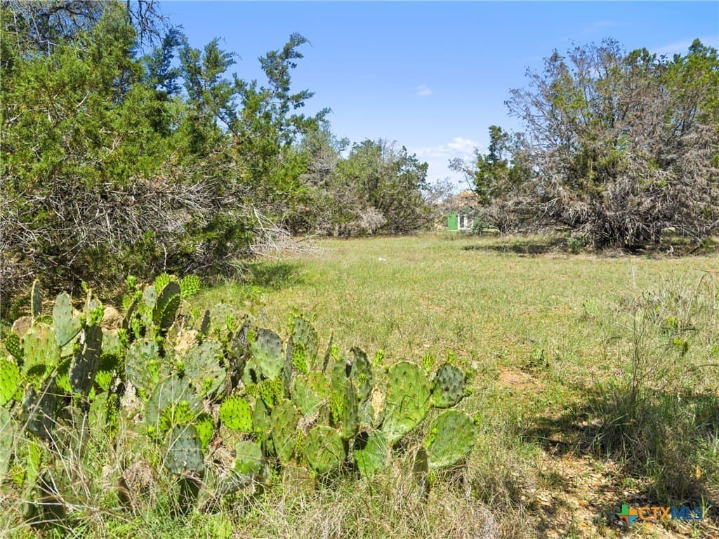 0.51 acres in Comal County gallery image 4