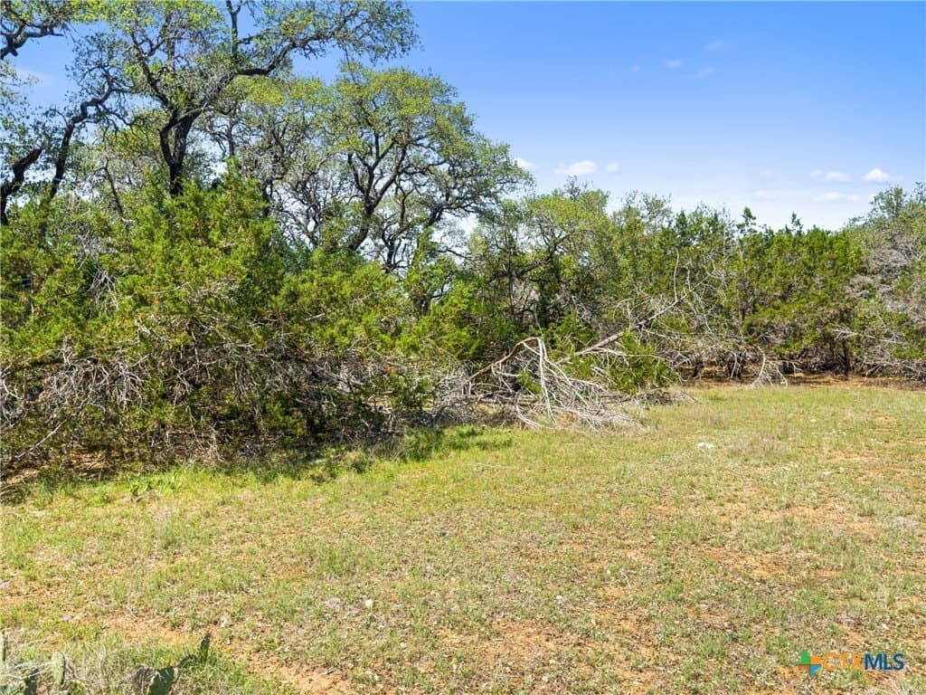 0.51 acres in Comal County gallery image 2