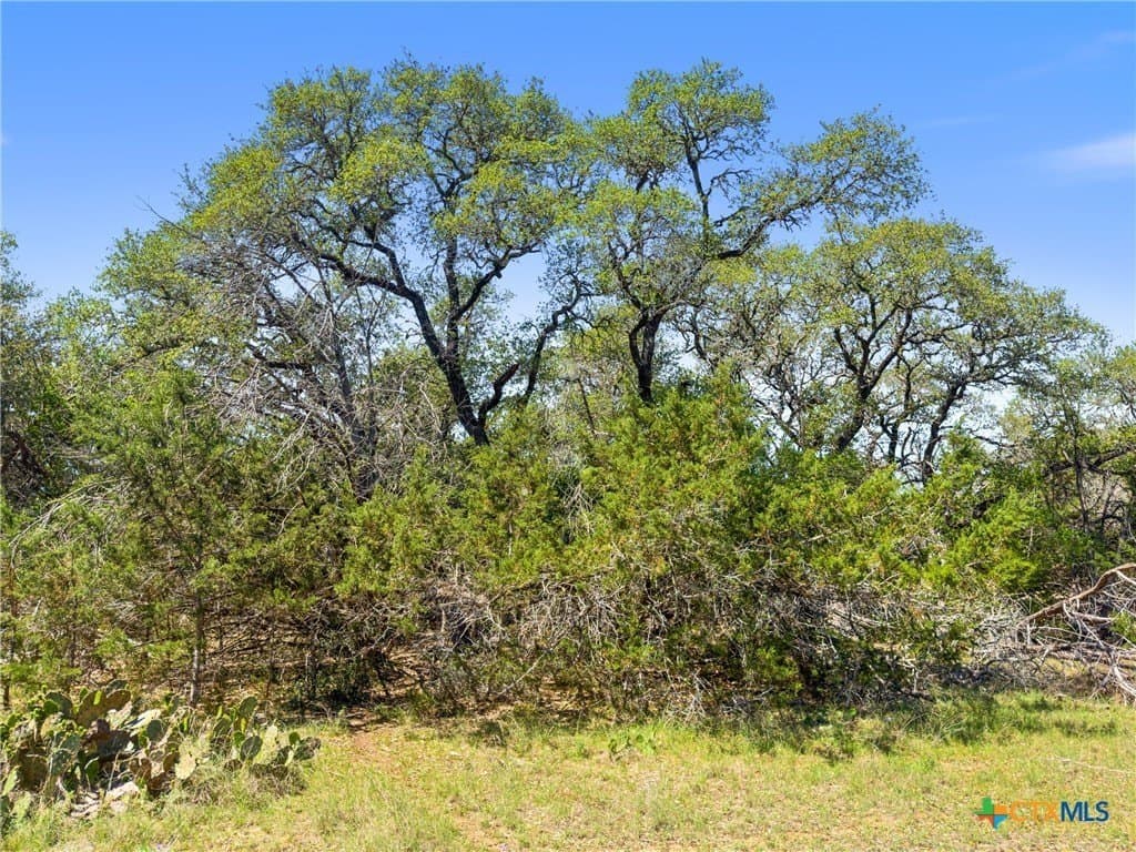 0.51 acres in Comal County