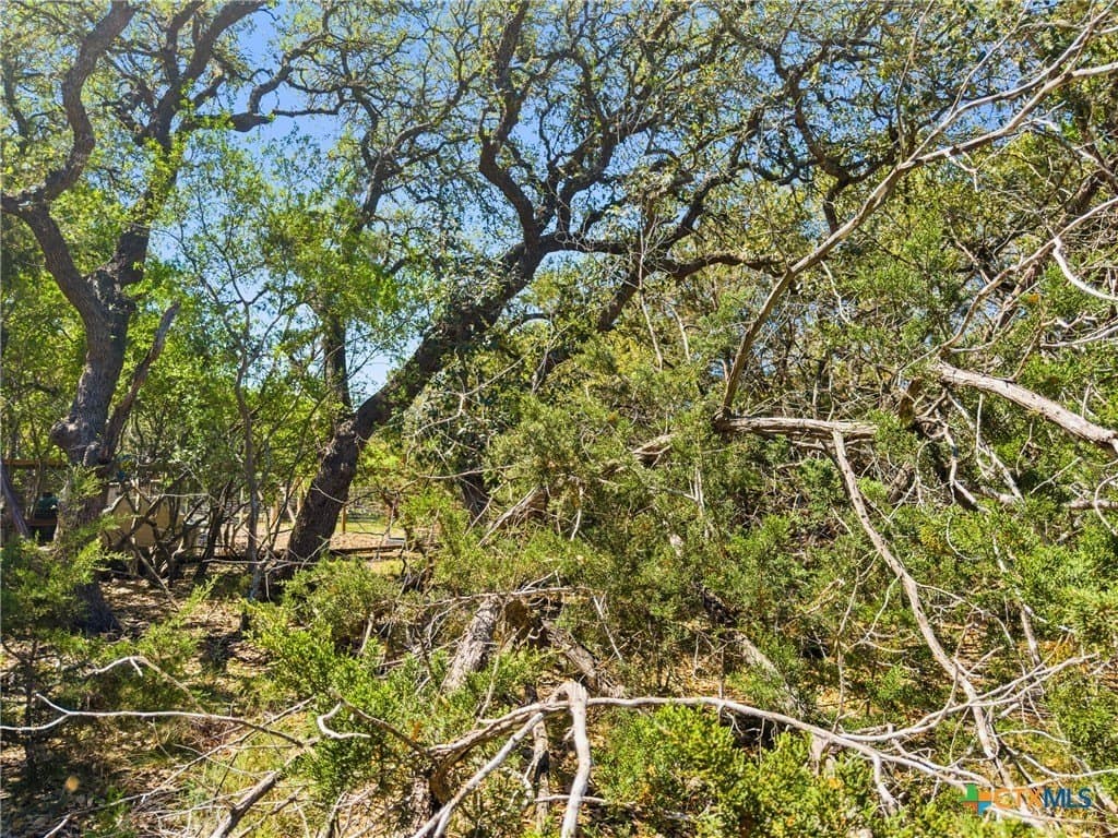 0.51 acres in Comal County - photo 6
