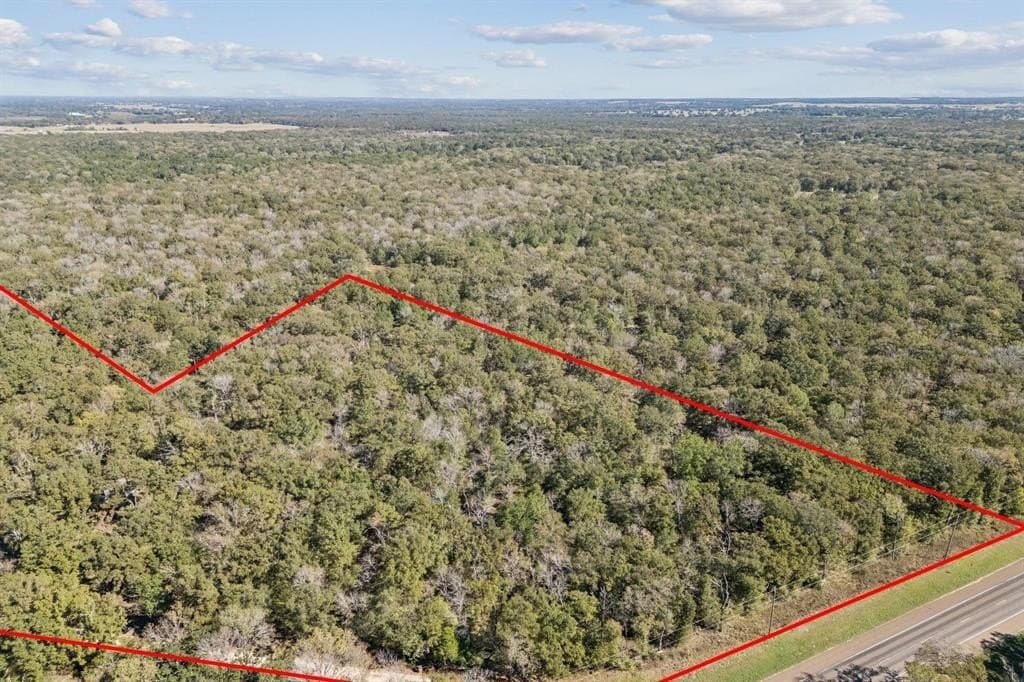 20 acres in Anderson County gallery image 4