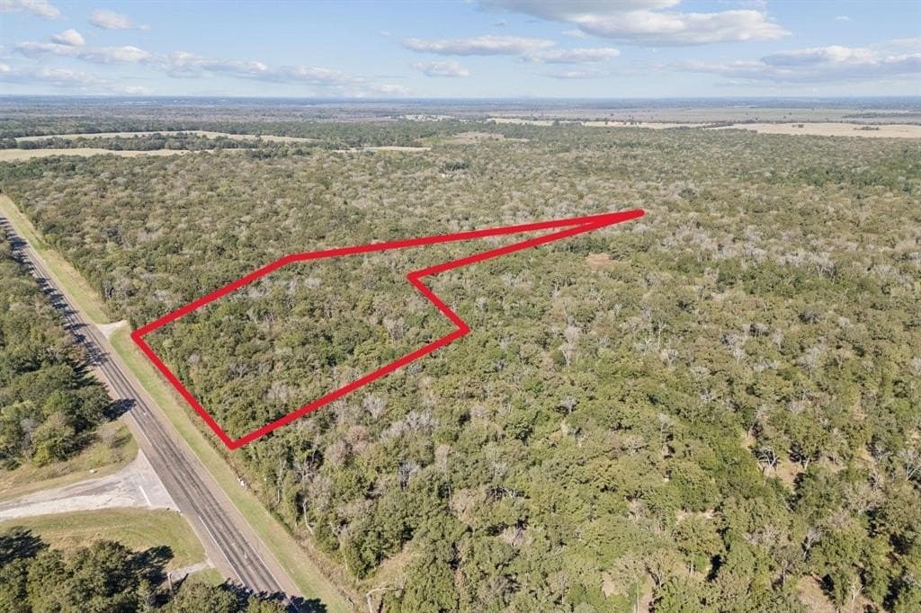20 acres in Anderson County gallery image 3