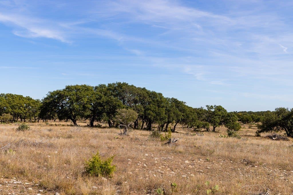 53.34 acres in Kimble County featured view