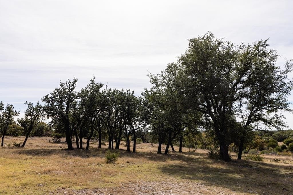 53.34 acres in Kimble County gallery image 2