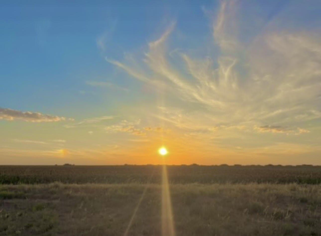 10.02 acres in Lubbock County - photo 4