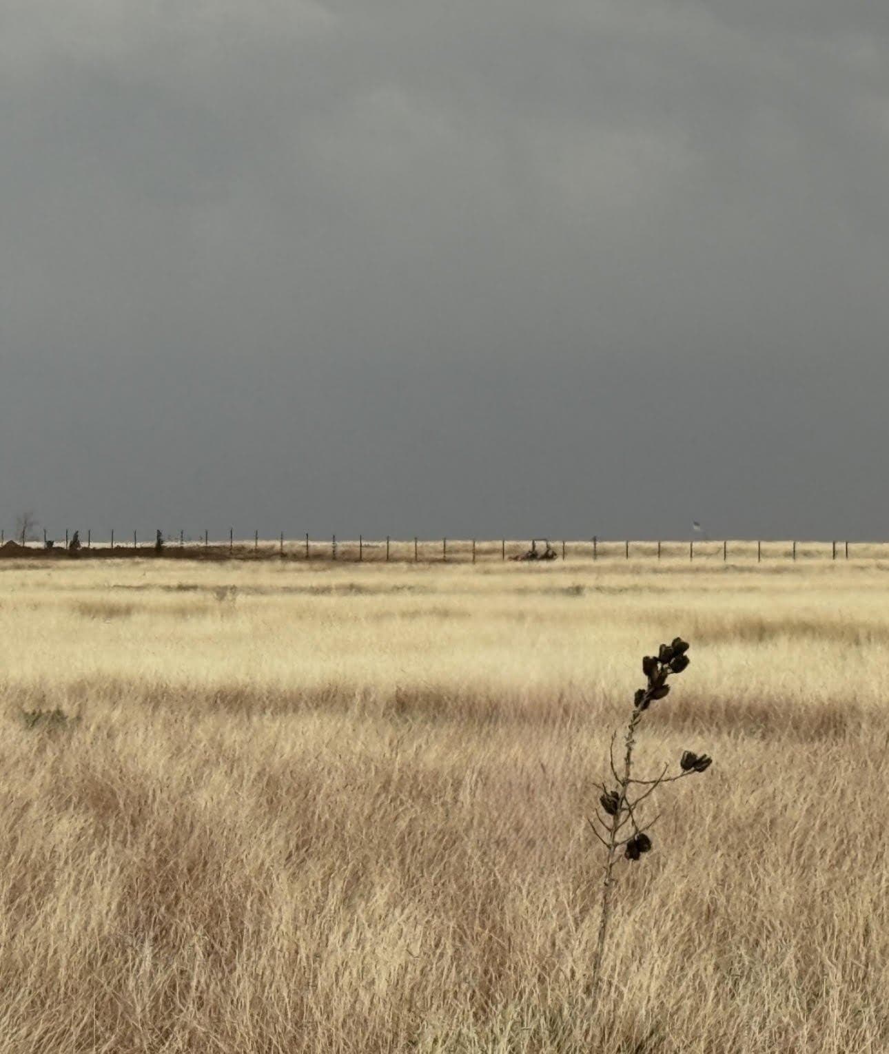 10.02 acres in Lubbock County - photo 6