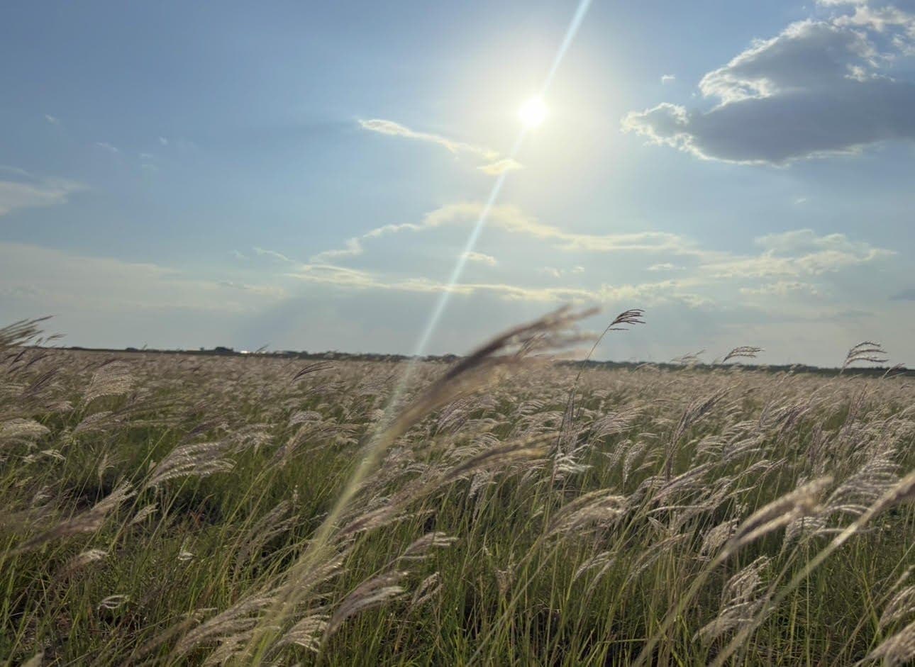 10.02 acres in Lubbock County