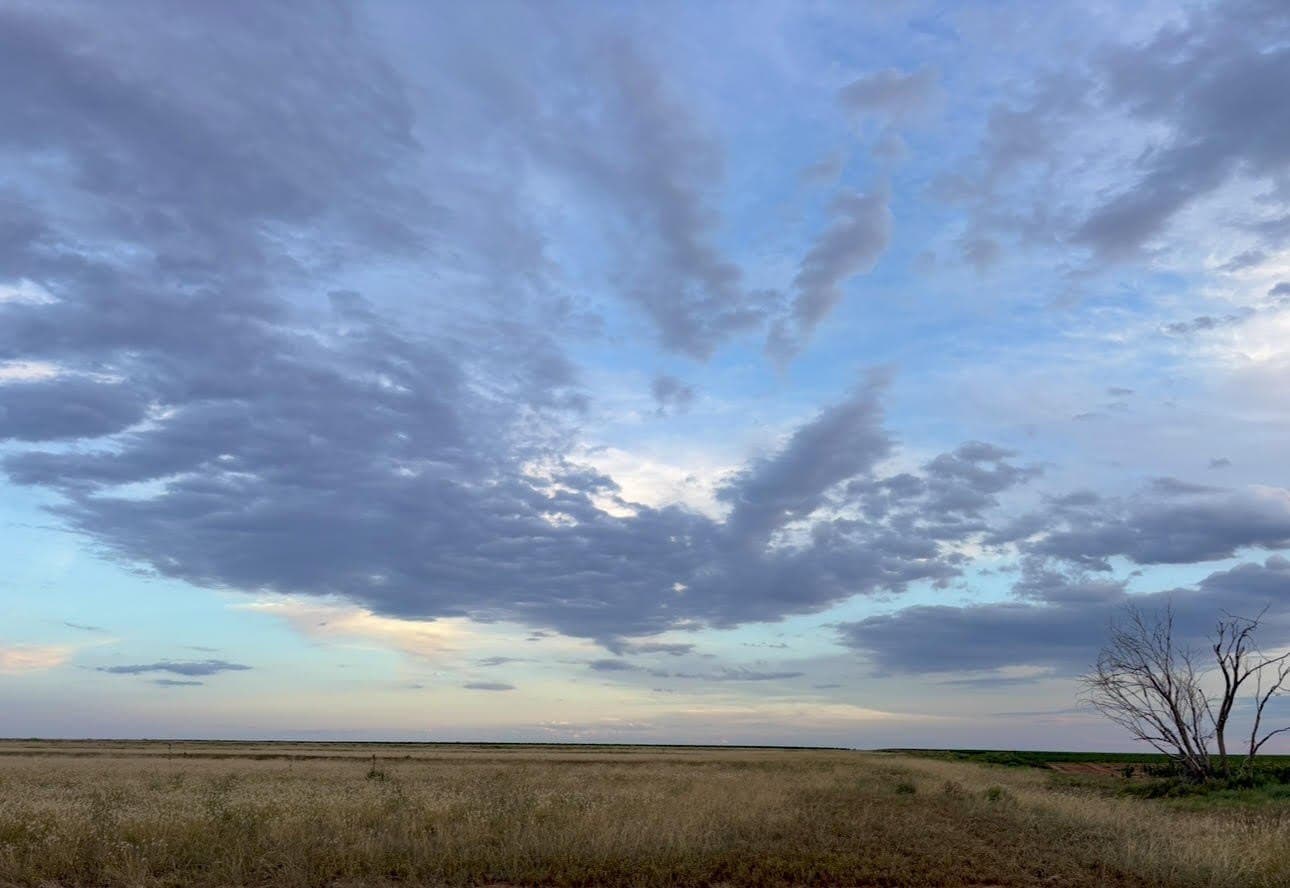 10.02 acres in Lubbock County - photo 3