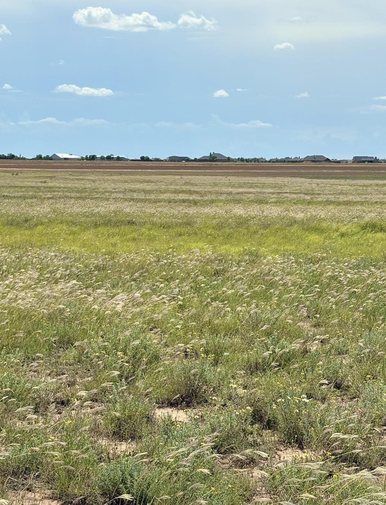 10.02 acres in Lubbock County - photo 7