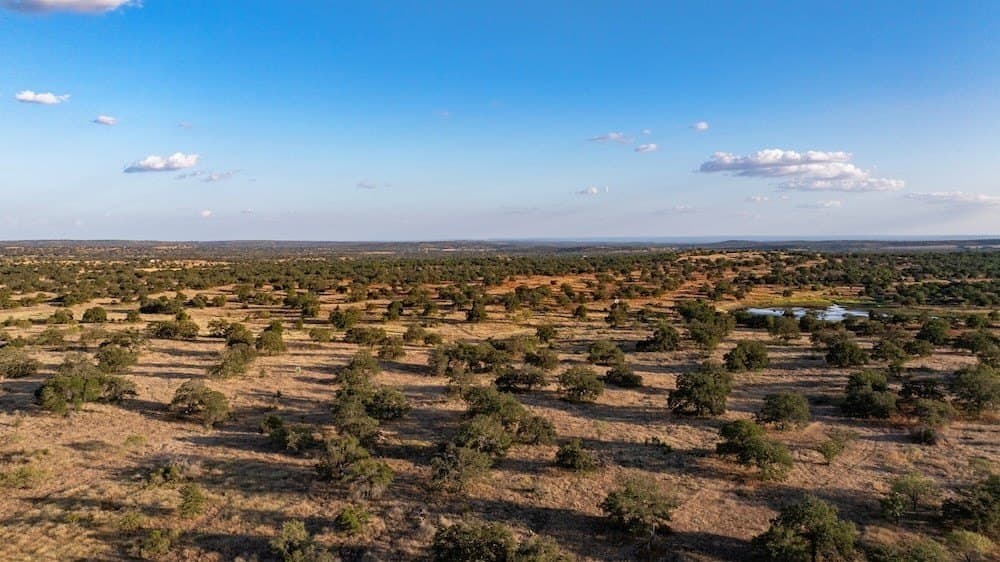 167 acres in Mason County - photo 19