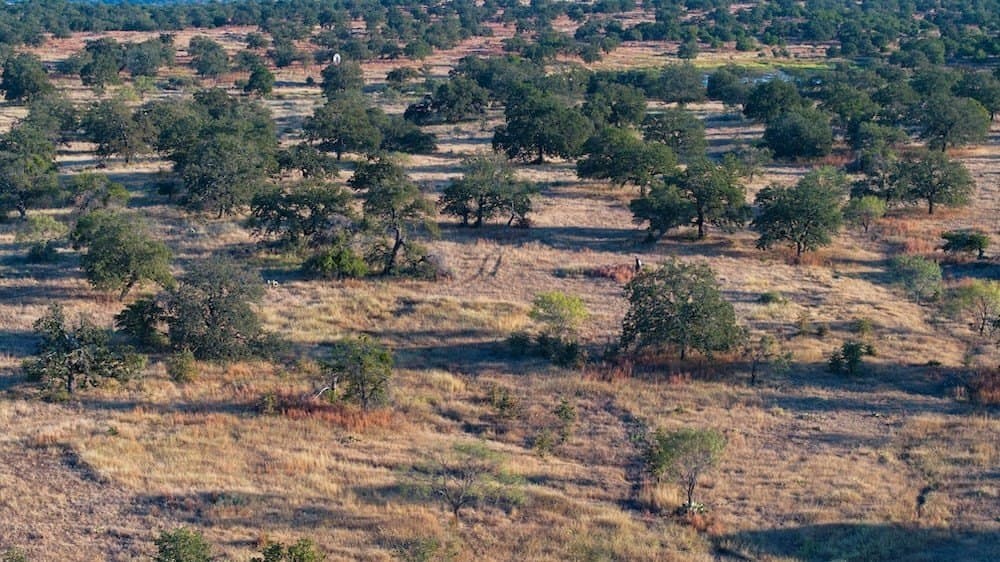 167 acres in Mason County - photo 17