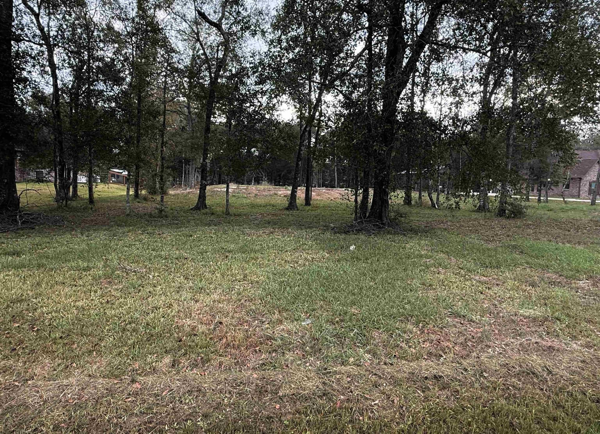 1.13 acres in Texas County