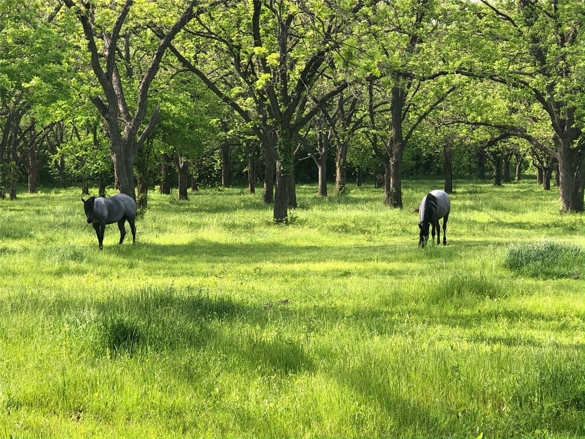 20.62 acres in Johnson County - photo 10