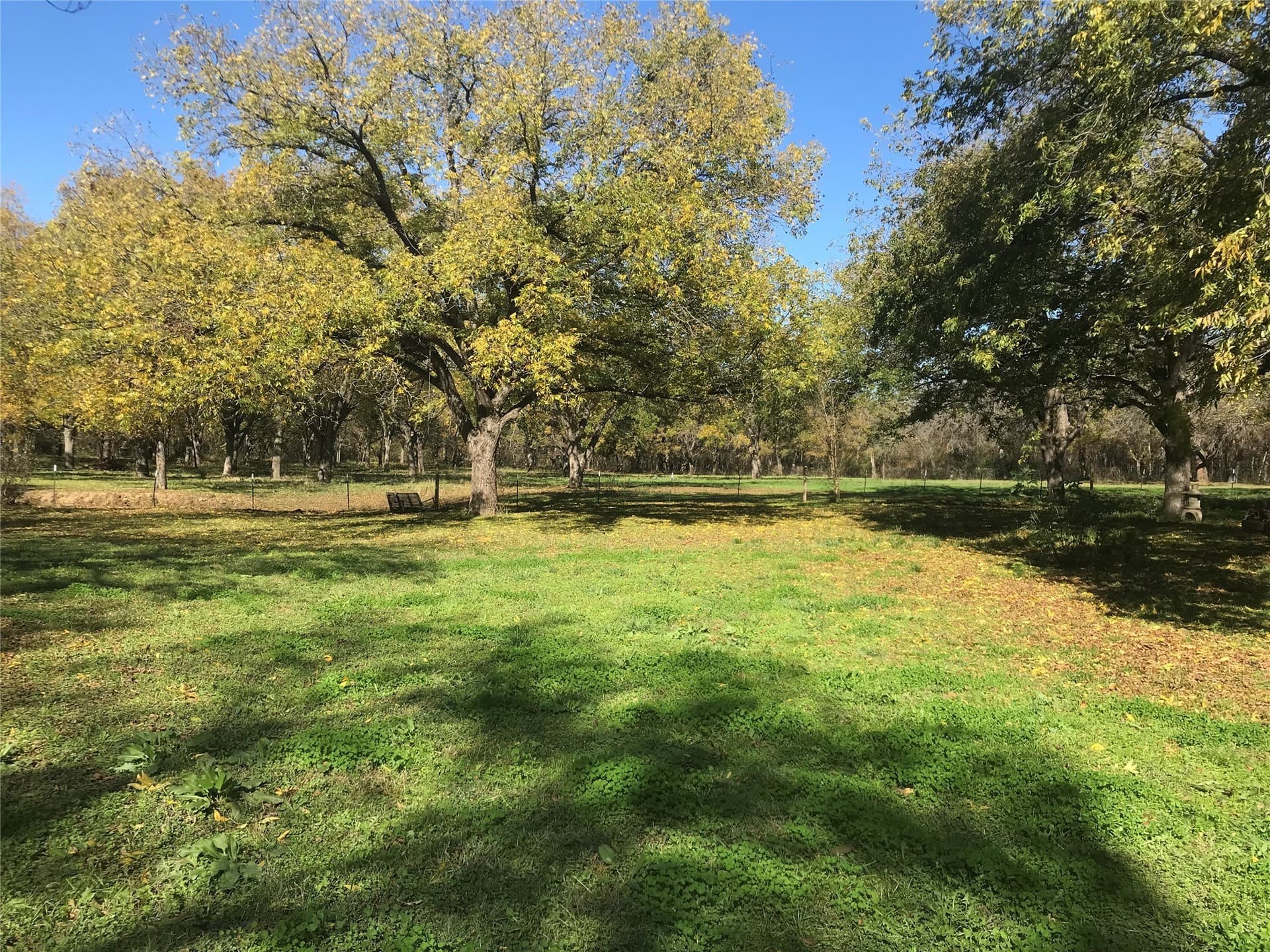 20.62 acres in Johnson County - photo 11