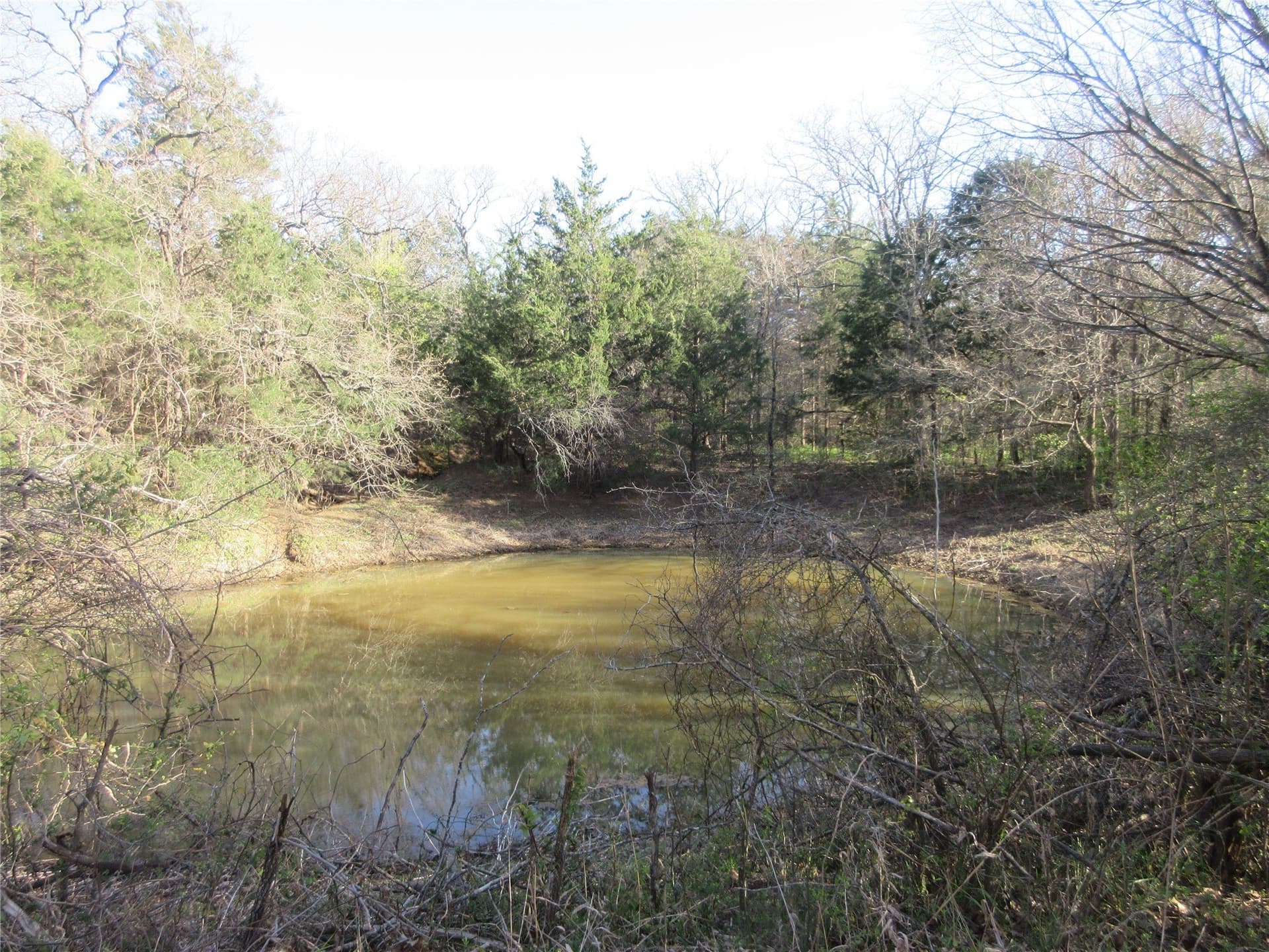 20.62 acres in Johnson County - photo 14