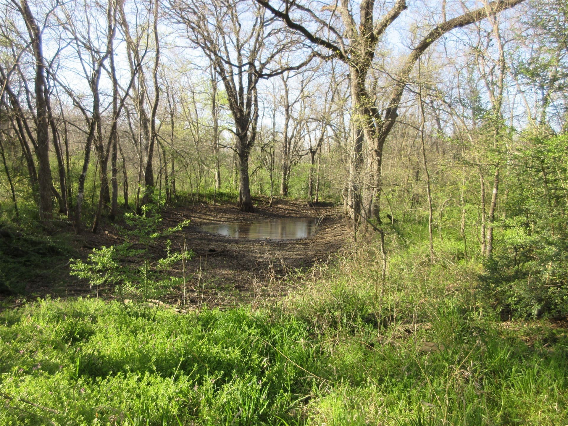 20.62 acres in Johnson County - photo 15
