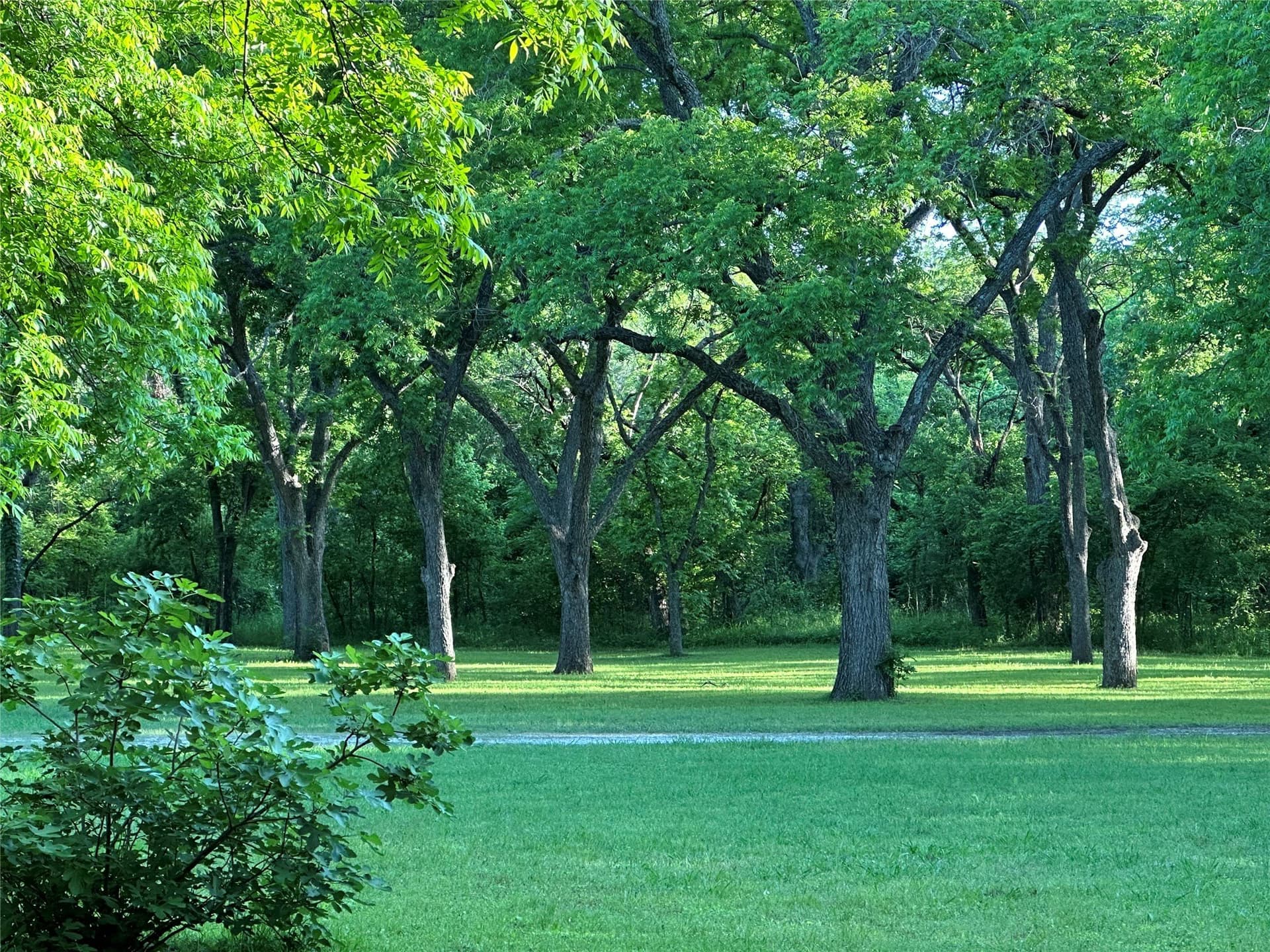 20.62 acres in Johnson County - photo 12