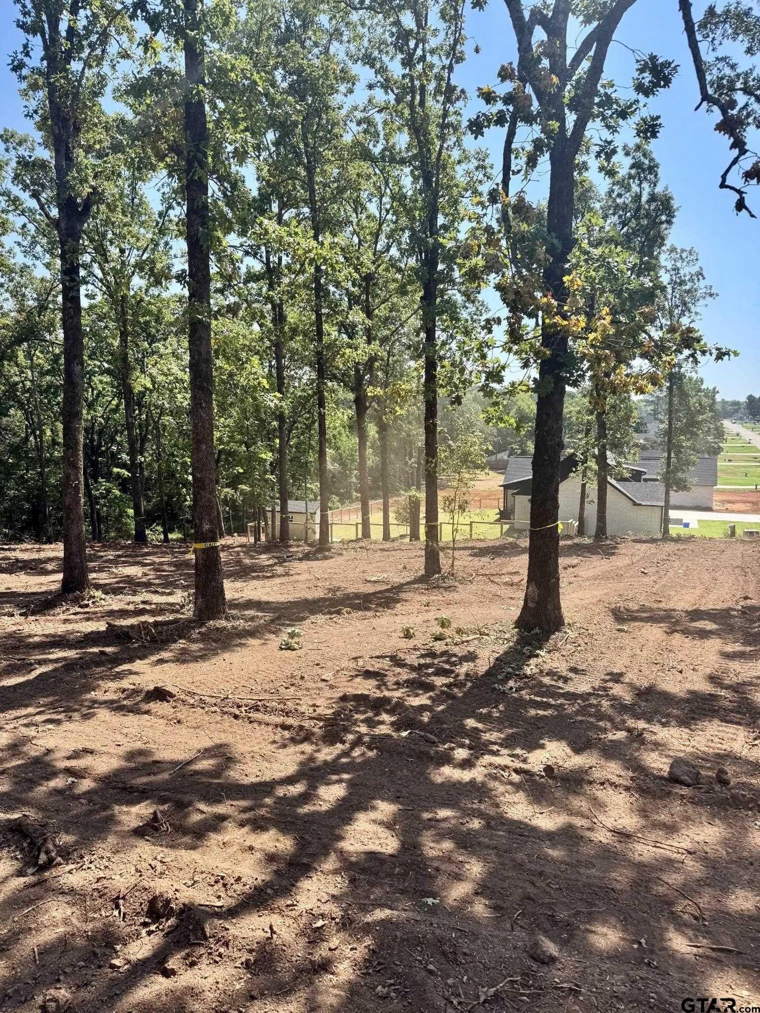 1.72 acres in Smith County - photo 3
