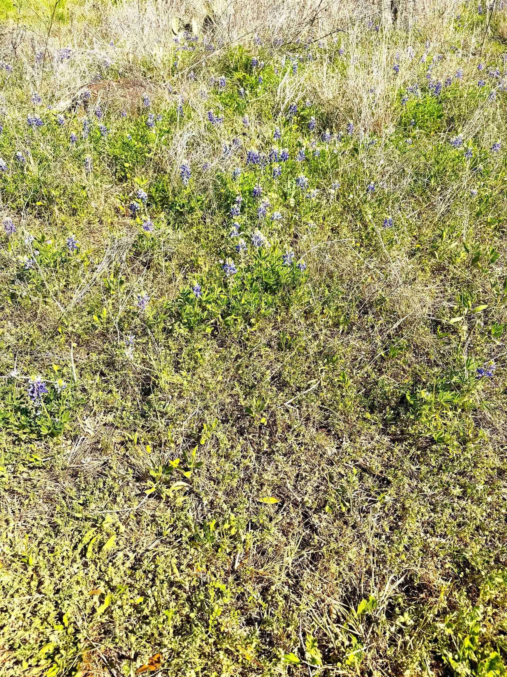 0.48 acres in Llano County gallery image 4