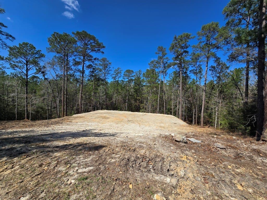 0.42 acres in Texas County - photo 2