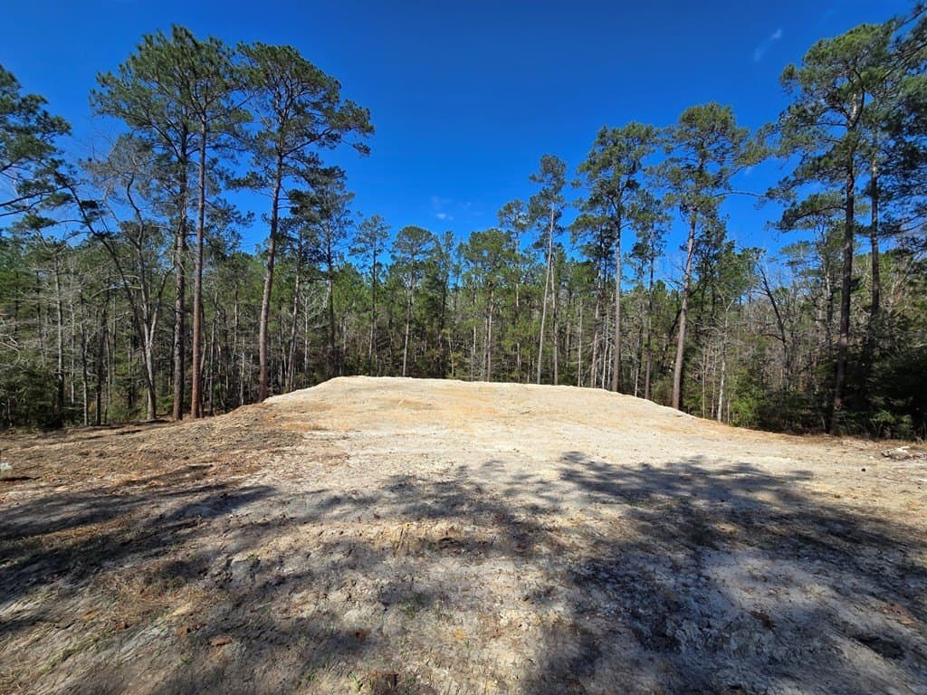 0.42 acres in Texas County - photo 3