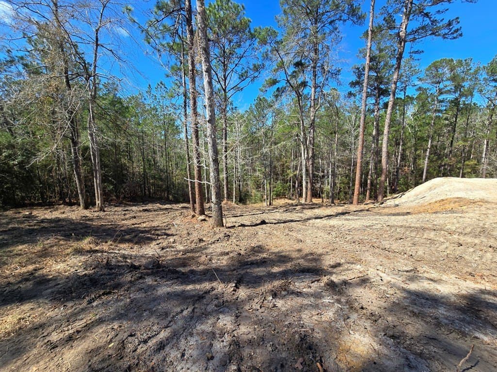 0.42 acres in Texas County - photo 6