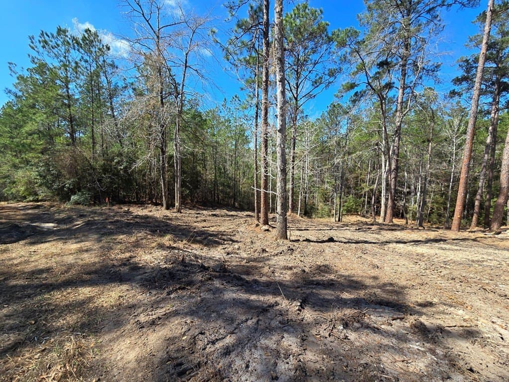 0.42 acres in Texas County - photo 7