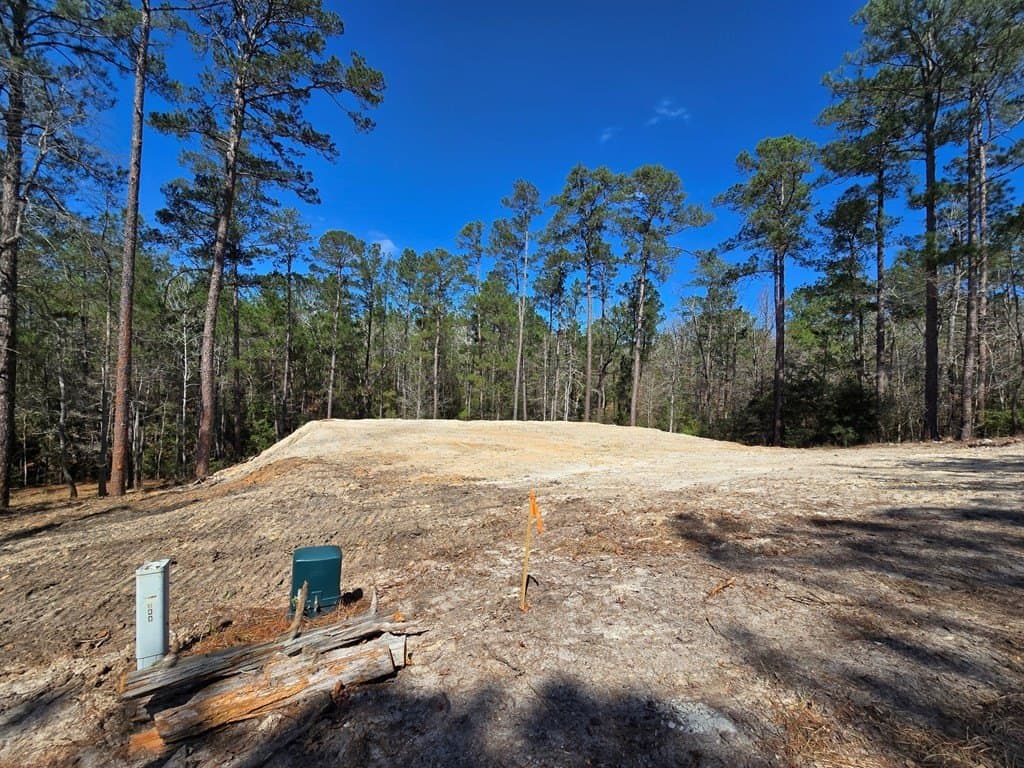 0.42 acres in Texas County - photo 4