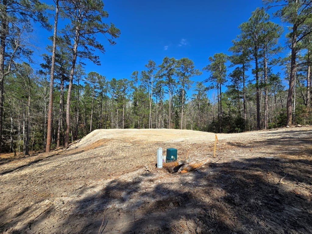 0.42 acres in Texas County - photo 5
